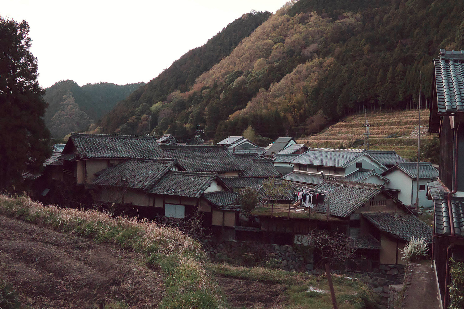 A beautiful traditional Japanese Village nestled in the valley of some pine tree covered mountains in the Ausuka-Nara prefecture in Japan. This image features warm brown tones with cool blues. In Miyasaki style some laundry hangs out to dry on a grass turf roof