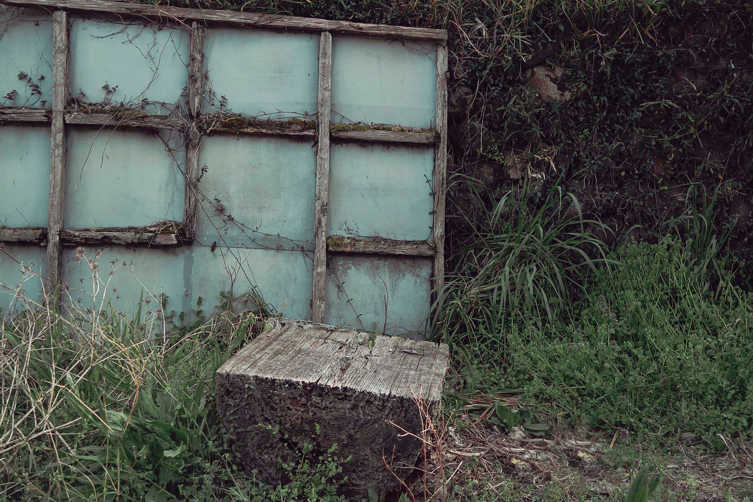 An abandoned wood block and glass shoji screen in a small village in the Asuka Prefecture countryside of Japan.