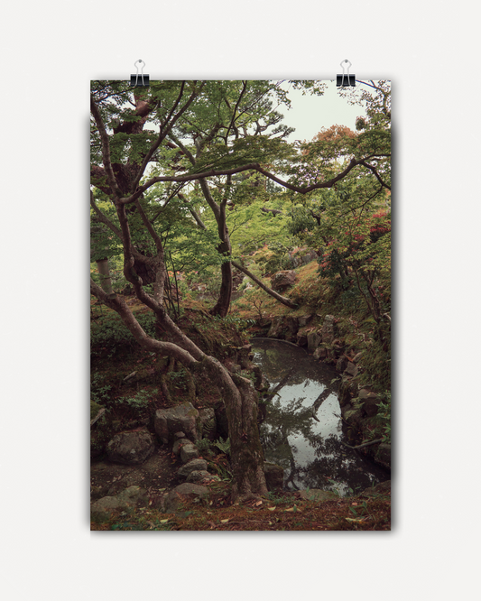 Japanese Strolling Garden