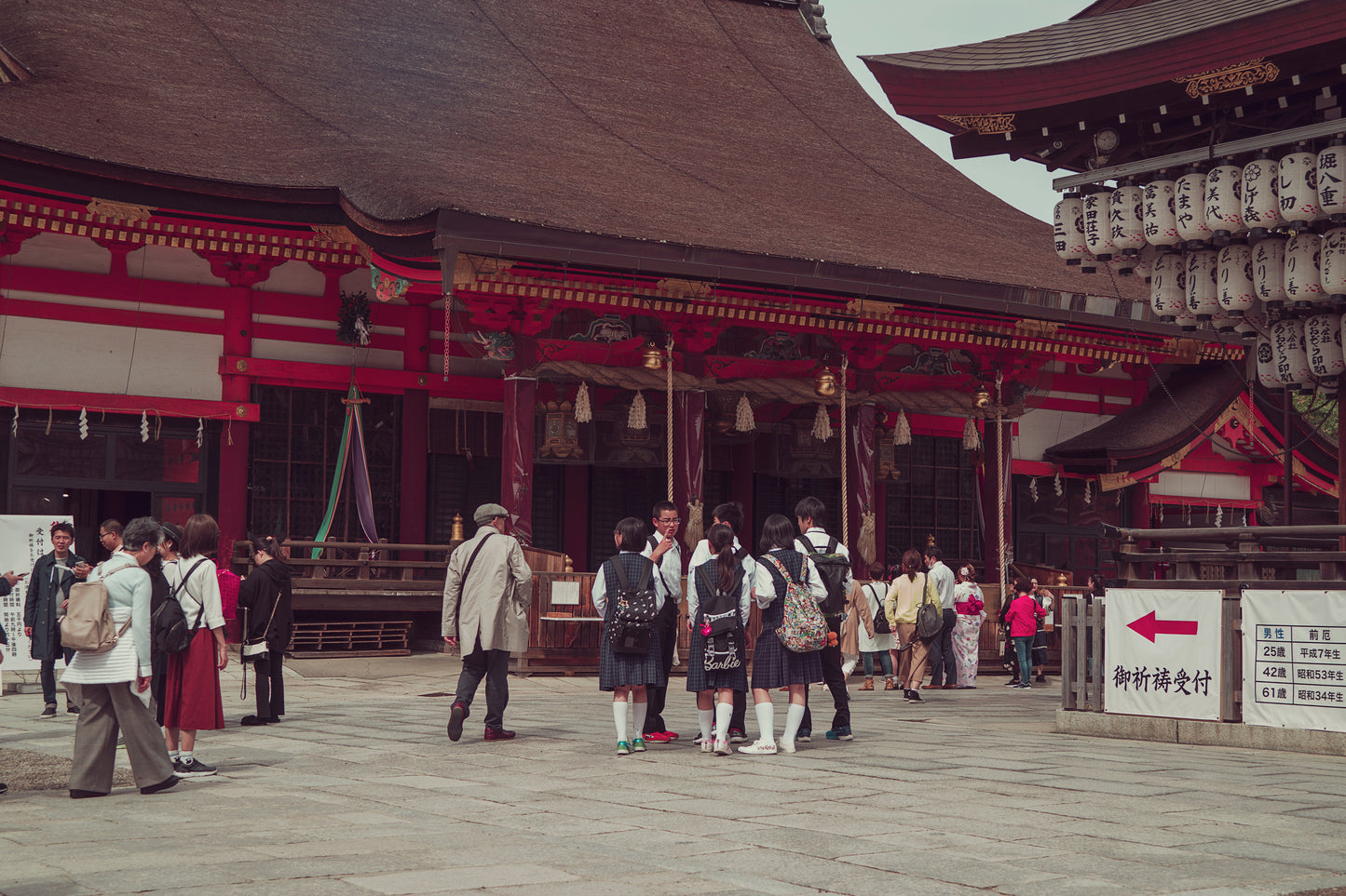 Cherry Blossom Festival at a Temple