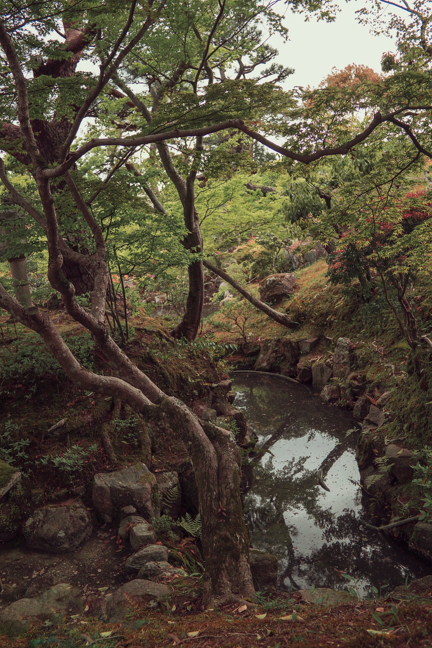 Japanese Strolling Garden