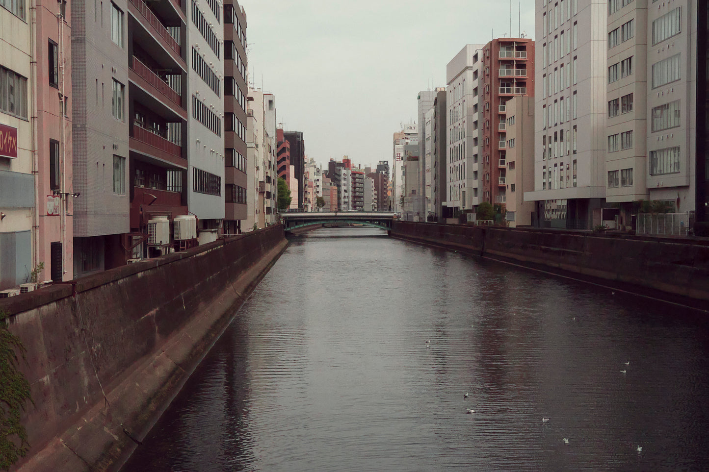 Tokyo Canals